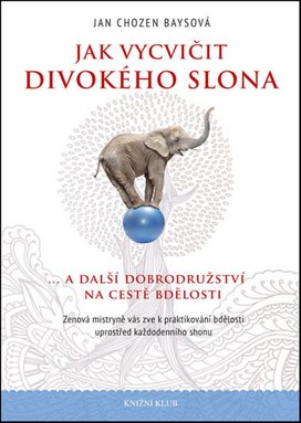 Jak vycvičit divokého slona...