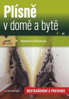 Plísně v domě a bytě