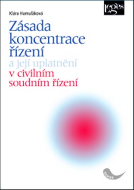 Zásada koncentrace řízení