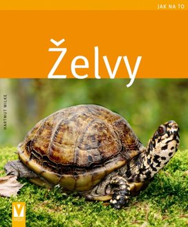 Želvy