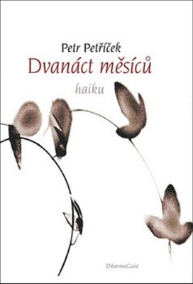 Dvanáct měsíců