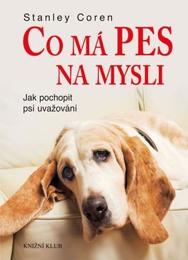 Co má pes na mysli
