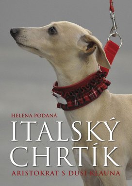 Italský chrtík