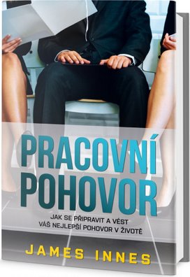Pracovní pohovor