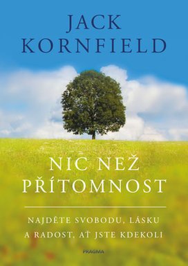 Nic než přítomnost