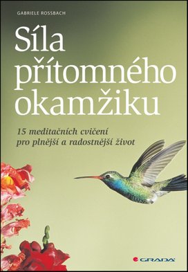 Síla přítomného okamžiku