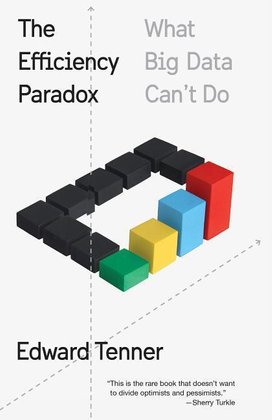 The Efficiency Paradox