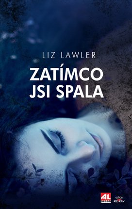 Zatímco jsi spala