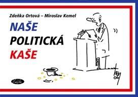 Naše politická kaše
