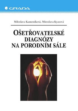 Ošetřovatelské diagnózy na porodním sále