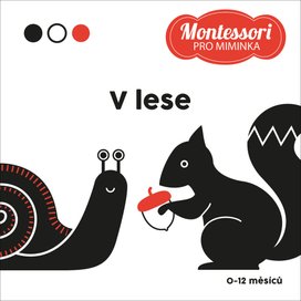 Kontrastní leporelo V lese