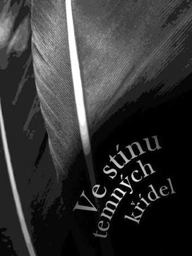 Ve stínu temných křídel