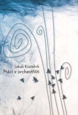 Ptáci v orchestřišti