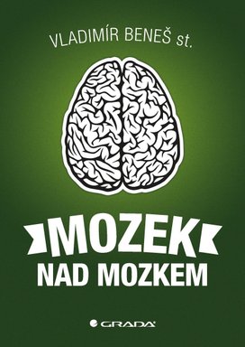 Mozek nad mozkem