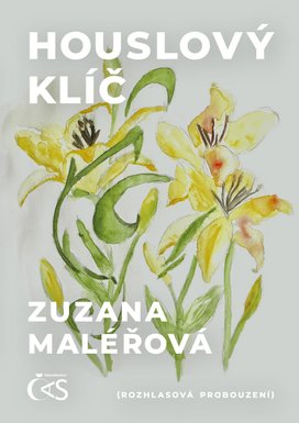 Houslový klíč