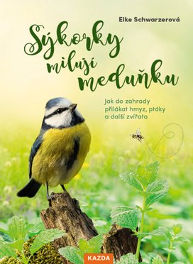 Sýkorky milují meduňku