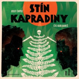 Stín kapradiny