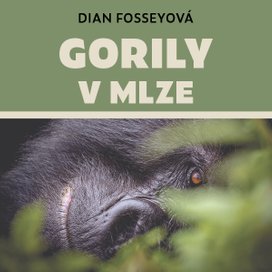 Gorily v mlze