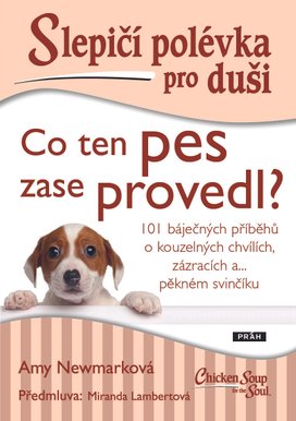 Slepičí polévka pro duši: Co ten pes zase provedl?