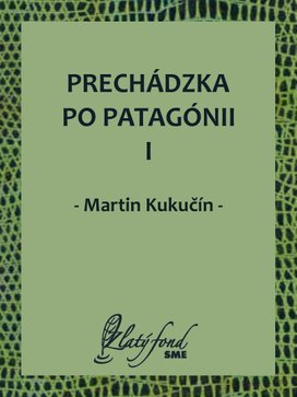 Prechádzka po Patagónii I