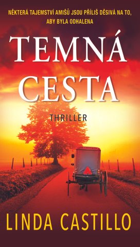 Temná cesta
