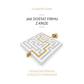 Jak dostat firmu z krize