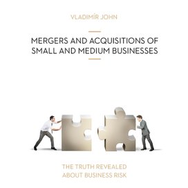 MERGERS AND ACQUSITIONS OF SMALL AND MEDIUM BUSINESSES