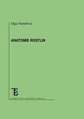 Anatomie rostlin