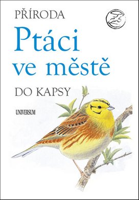 Ptáci ve městě