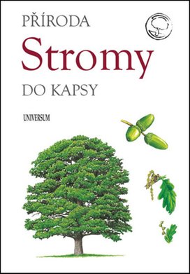 Stromy