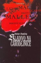 Kladivo na čarodějnice