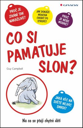 Co si pamatuje slon?