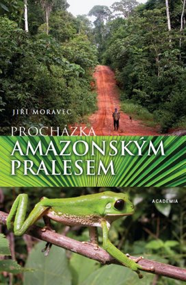 Procházka amazonským pralesem