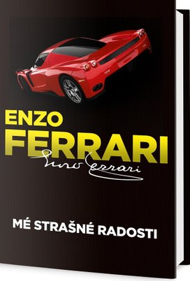 Mé strašné radosti