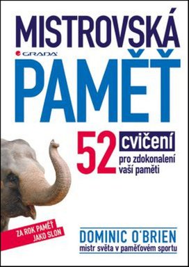 Mistrovská paměť
