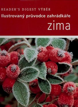 Zima
