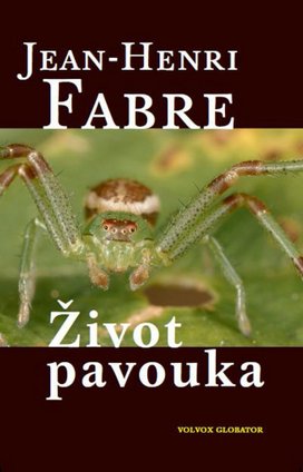 Život pavouka
