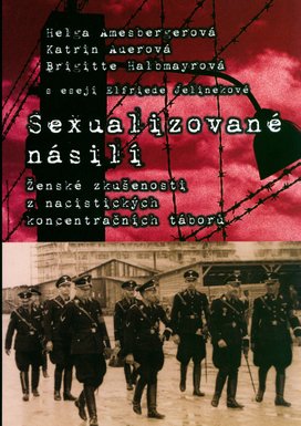Sexualizované násilí