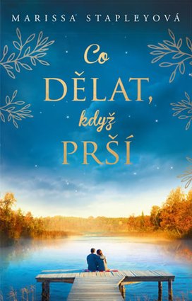 Co dělat, když prší