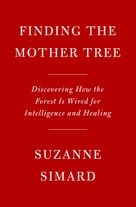 Finding the Mother Tree
