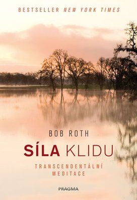 Síla klidu