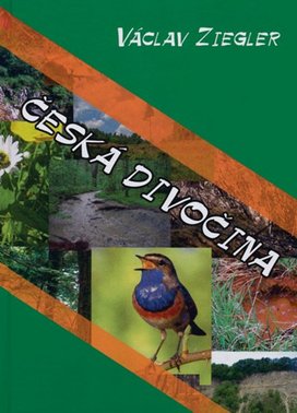Česká divočina