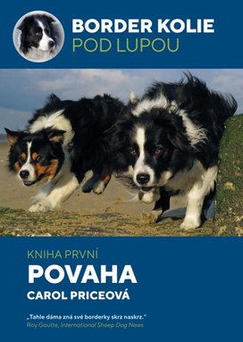 Border kolie pod lupou Povaha