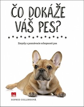 Čo dokáže váš pes?