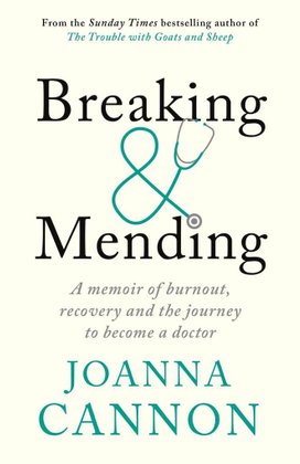 Breaking and Mending