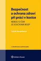 Bezpečnost a ochrana zdraví při práci v kostce