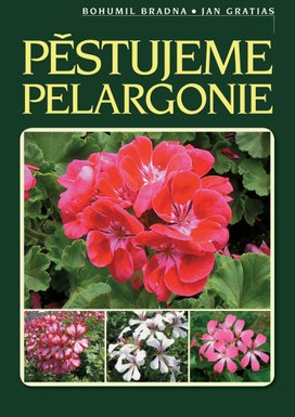 Pěstujeme pelargonie