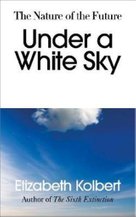 Under a White Sky