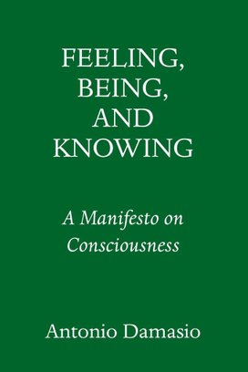 Feeling & Knowing