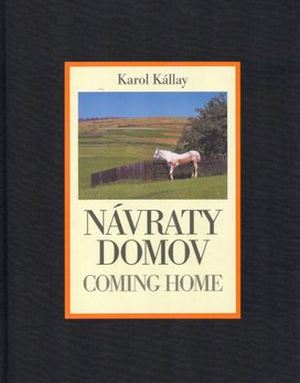 Návraty domov